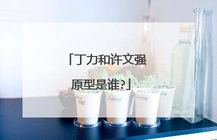 丁力和许文强原型是谁?