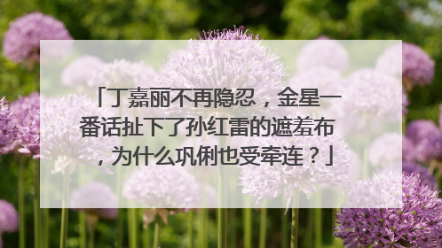 丁嘉丽不再隐忍，金星一番话扯下了孙红雷的遮羞布，为什么巩俐也受牵连？