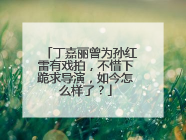 丁嘉丽曾为孙红雷有戏拍，不惜下跪求导演，如今怎么样了？
