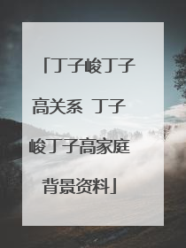 丁子峻丁子高关系 丁子峻丁子高家庭背景资料