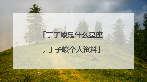 丁子峻是什么星座，丁子峻个人资料