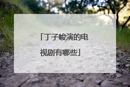 丁子峻演的电视剧有哪些