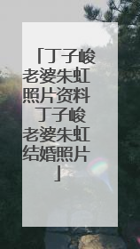 丁子峻老婆朱虹照片资料 丁子峻老婆朱虹结婚照片