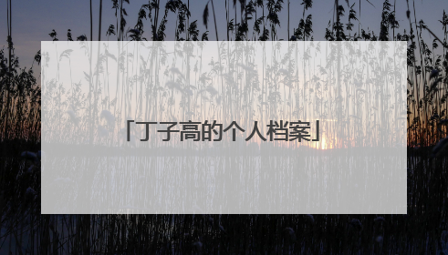 丁子高的个人档案