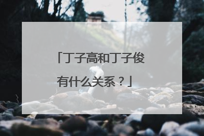 丁子高和丁子俊有什么关系？