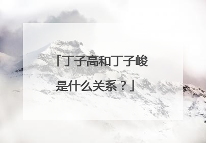 丁子高和丁子峻是什么关系？
