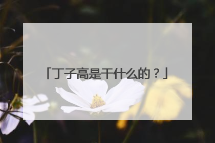 丁子高是干什么的？