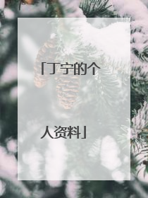 丁宁的个人资料