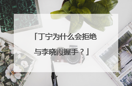 丁宁为什么会拒绝与李晓霞握手?