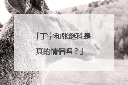 丁宁和张继科是真的情侣吗?