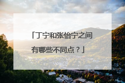 丁宁和张怡宁之间有哪些不同点？