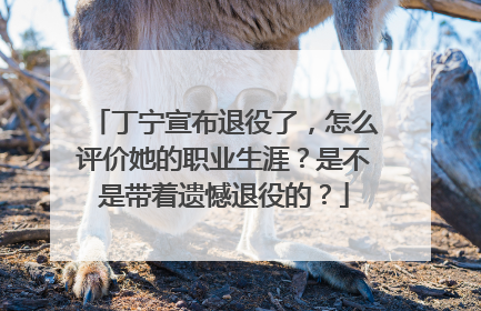 丁宁宣布退役了，怎么评价她的职业生涯？是不是带着遗憾退役的？
