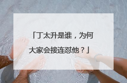 丁太升是谁，为何大家会接连怼他？
