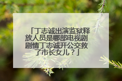 丁志诚出演监狱释放人员是哪部电视剧剧情丁志诚开公交救了市长女儿？