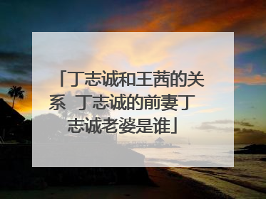 丁志诚和王茜的关系 丁志诚的前妻丁志诚老婆是谁