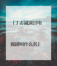 丁志诚演过电视剧叫什么名