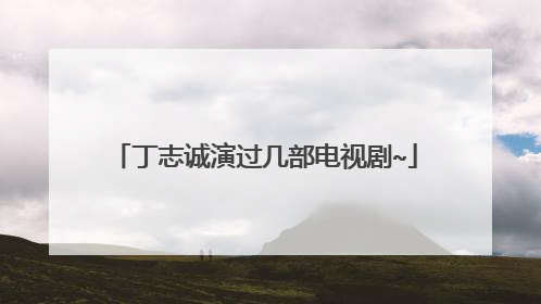 丁志诚演过几部电视剧~