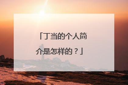 丁当的个人简介是怎样的?