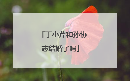 丁小芹和孙协志结婚了吗