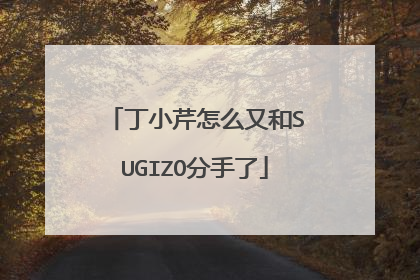 丁小芹怎么又和SUGIZO分手了