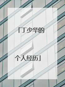 丁少华的个人经历