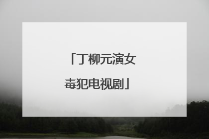 丁柳元演女毒犯电视剧