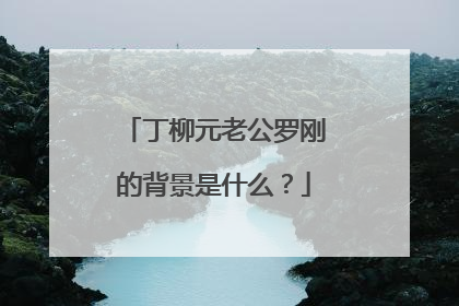 丁柳元老公罗刚的背景是什么?