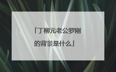 丁柳元老公罗刚的背景是什么