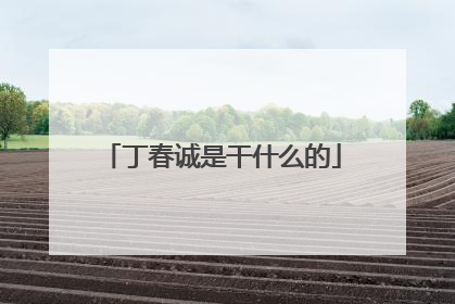 丁春诚是干什么的