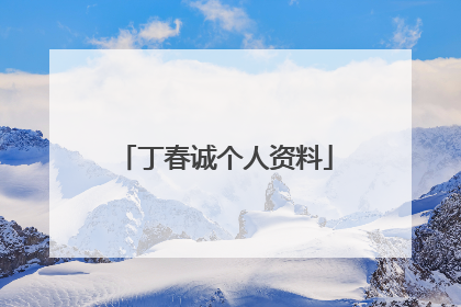 丁春诚个人资料