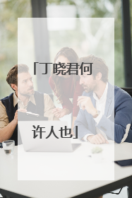 丁晓君何许人也