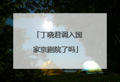 丁晓君调入国家京剧院了吗