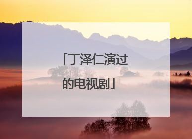 丁泽仁演过的电视剧