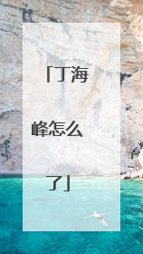 丁海峰怎么了