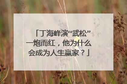 丁海峰演“武松”一炮而红，他为什么会成为人生赢家？