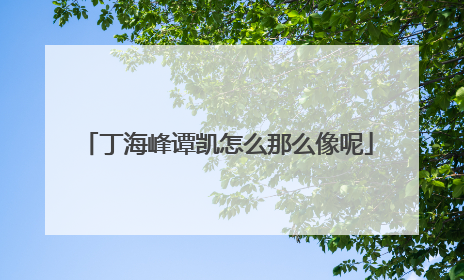 丁海峰谭凯怎么那么像呢