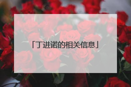 丁进诺的相关信息