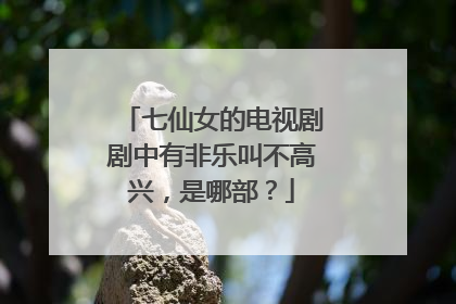 七仙女的电视剧剧中有非乐叫不高兴，是哪部？