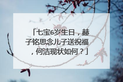 七宝6岁生日，赫子铭思念儿子送祝福，何洁现状如何？