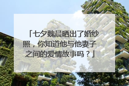 七夕魏晨晒出了婚纱照,你知道他与他妻子之间的爱情故事吗?