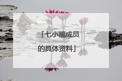 七小福成员的具体资料