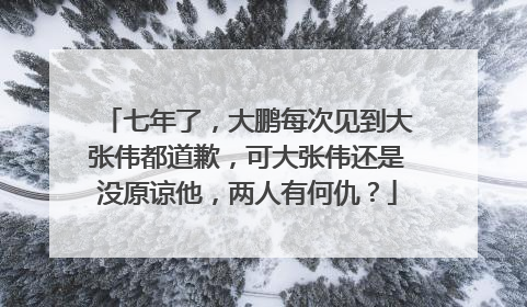 七年了,大鹏每次见到大张伟都道歉,可大张伟还是没原谅他,两人有何仇?