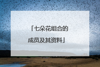 七朵花组合的成员及其资料