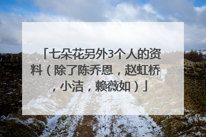 七朵花另外3个人的资料(除了陈乔恩,赵虹桥,小洁,赖薇如)