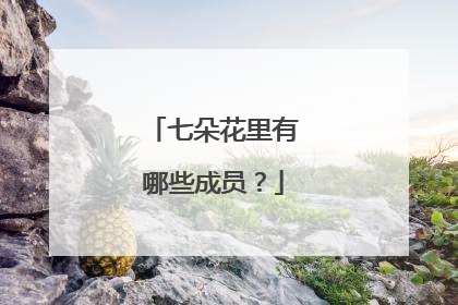 七朵花里有哪些成员？
