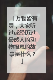 万物皆有灵，大家听过或经历过最感人的动物报恩的故事是什么？