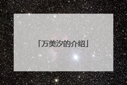 万美汐的介绍