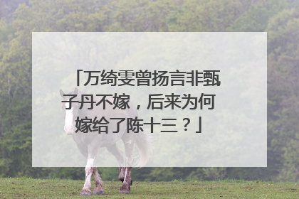 万绮雯曾扬言非甄子丹不嫁,后来为何嫁给了陈十三?