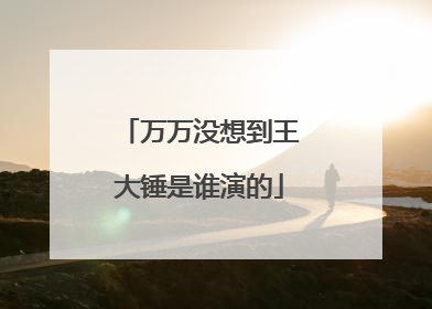 万万没想到王大锤是谁演的