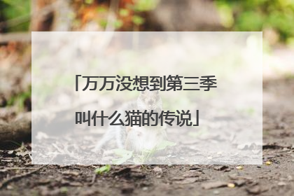 万万没想到第三季叫什么猫的传说